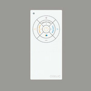 RC919 �I�[�f���b�N Bluetooth �����E���F�ȒP�����R�� CONNECTED LIGHTIN��p