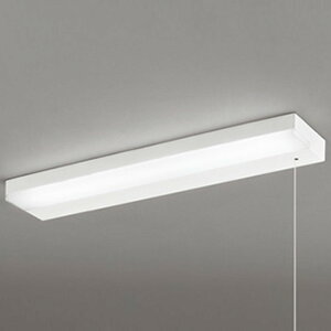 OB255165R �I�[�f���b�N �L�b�`�����C�g FL20W���� �����F