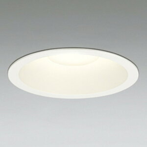 OD261148R �I�[�f���b�N �_�E�����C�g ��������150 FHT24W���� �d���F �����\