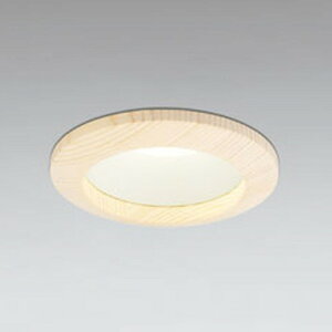 OD261670R �I�[�f���b�N �_�E�����C�g ���ω΍\���Ή� ��������100 ���M�����60W���� �d���F �����\
