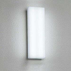 OG254241R �I�[�f���b�N �|�[�`���C�g ���M�����60W���� �����F �h�J�h���^