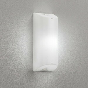 OG254673NR �I�[�f���b�N �|�[�`���C�g FL20W���� �����F �h�J�^