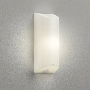 OG254674LR �I�[�f���b�N �|�[�`���C�g FL10W���� �d���F �h�J�^