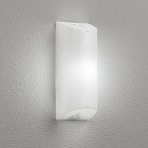 OG254674NR �I�[�f���b�N �|�[�`���C�g FL10W���� �����F �h�J�^