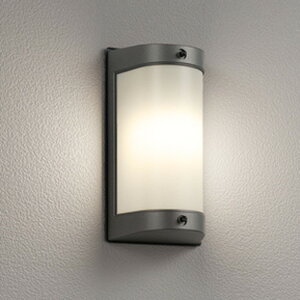 OG254695LR �I�[�f���b�N �|�[�`���C�g ���M�����60W���� �d���F �h�J�^
