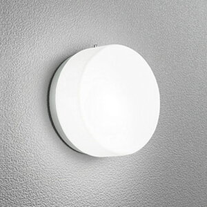 OG254977NCR �I�[�f���b�N �|�[�`���C�g ���M�����60W���� �����F 5000K �h�J�^
