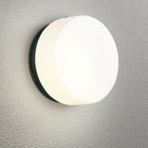 OG254978LCR �I�[�f���b�N �|�[�`���C�g ���M�����60W���� �d���F �h�J�^