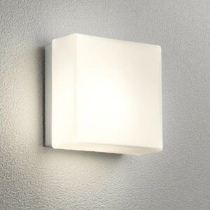 OG254979LCR �I�[�f���b�N �|�[�`���C�g ���M�����60W���� �d���F �h�J�^
