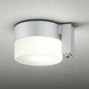 OG254987LCR �I�[�f���b�N �����V�[�����O���C�g �l���Z���T�[�t ���M�����60W���� �d���F �h�J�^