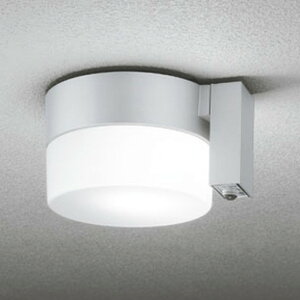 OG254987NCR �I�[�f���b�N �����V�[�����O���C�g �l���Z���T�[�t ���M�����60W���� �����F �h�J�^