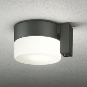 OG254988LCR �I�[�f���b�N �����V�[�����O���C�g �l���Z���T�[�t ���M�����60W���� �d���F �h�J�^