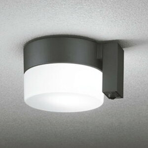 OG254988NCR �I�[�f���b�N �����V�[�����O���C�g �l���Z���T�[�t ���M�����60W���� �����F �h�J�^