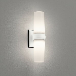 OG254894WR �I�[�f���b�N �|�[�`���C�g FL15W���� �����F �h�J�h���^