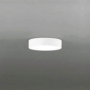 OL251359R �I�[�f���b�N ���^�V�[�����O���C�g ���M�����60W���� �����F �z���C�g