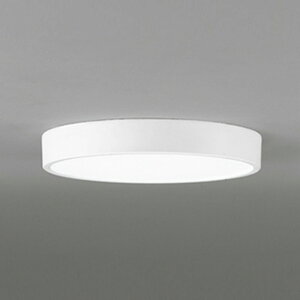 OL251726R �I�[�f���b�N ���^�V�[�����O���C�g FCL30W���� �����F ���|�V�[�����O�^�C�v �z���C�g