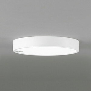 OL251734R �I�[�f���b�N ���^�V�[�����O���C�g �l���Z���T�t FCL30W���� �����F ���|�V�[�����O�^�C�v �z���C�g