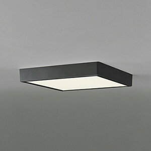 OL251741R �I�[�f���b�N ���^�V�[�����O���C�g FCL30W���� �d���F �����\ �u���b�N