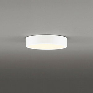 OL251751R �I�[�f���b�N ���^�V�[�����O���C�g ���M�����100W���� �d���F �z���C�g