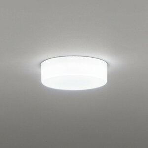 OL291136R �I�[�f���b�N ���^�V�[�����O���C�g ���M�����100W���� �����F