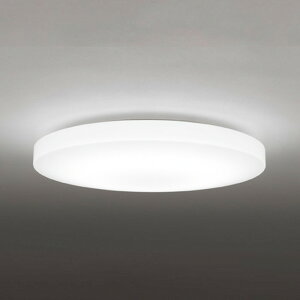 OL251217R1 �I�[�f���b�N �V�[�����O���C�g �`14���p �d���F�`�����F �����E���F�\ ���|�V�[�����O�^�C�v