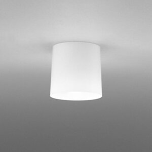 OL013006NR �I�[�f���b�N ���^�V�[�����O���C�g ���M�����60W���� �����F