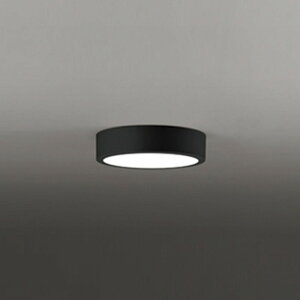 OL251774R �I�[�f���b�N �_�E���V�[�����O���C�g ���M�����60W���� �����F �u���b�N