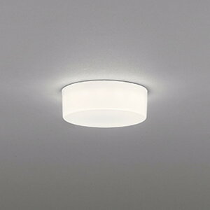 OL291336R �I�[�f���b�N ���^�V�[�����O���C�g ���M�����60W���� �����F