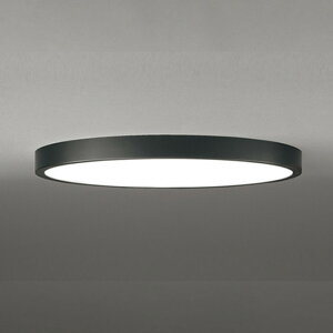 OL291413BR �I�[�f���b�N �V�[�����O���C�g �`12���p �d���F�`�����F Bluetooth�����E���F�\ ���|�V�[�����O�^�C�v