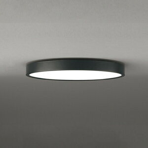 OL291426BR �I�[�f���b�N �V�[�����O���C�g �`6���p �d���F�`�����F Bluetooth�����E���F�\ ���|�V�[�����O�^�C�v