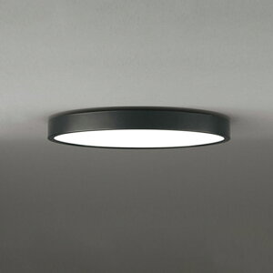 OL291564BR �I�[�f���b�N �V�[�����O���C�g �`12���p �d���F�`�����F Bluetooth�����E���F�\ ���|�V�[�����O�^�C�v