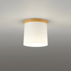 OL013007LR �I�[�f���b�N ���^�V�[�����O���C�g ���M�����60W���� �d���F