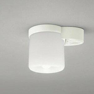 OL013379NR �I�[�f���b�N ���^�V�[�����O���C�g �����x�l���Z���T�[�t ���M�����60W���� �����F