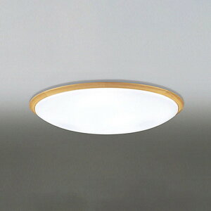 OL251623R �I�[�f���b�N �V�[�����O���C�g �����R���t �`12���p �d���F�`�����F �����E���F�\ ���|�V�[�����O�^�C�v