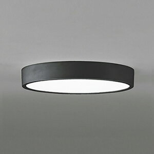 OL251732R �I�[�f���b�N �_�E���V�[�����O���C�g FCL30W���� �����F �����\ ���|�V�[�����O�^�C�v