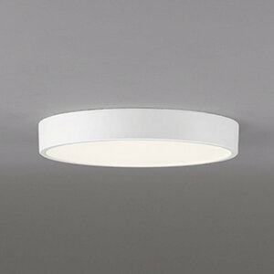 OL251856R �I�[�f���b�N �_�E���V�[�����O���C�g FCL30W���� �����F �����\ ���|�V�[�����O�^�C�v