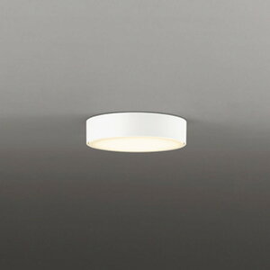 OL291273LR �I�[�f���b�N �_�E���V�[�����O���C�g ���M�����60W���� �d���F