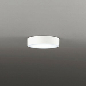 OL291273NR �I�[�f���b�N �_�E���V�[�����O���C�g ���M�����60W���� �����F