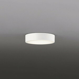 OL291273WR �I�[�f���b�N �_�E���V�[�����O���C�g ���M�����60W���� �����F