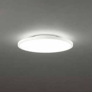 OL291618BR �I�[�f���b�N �V�[�����O���C�g �����R���t �`8���p �d���F�`�����F Bluetooth�����E���F�\ ���|�V�[�����O�^�C�v