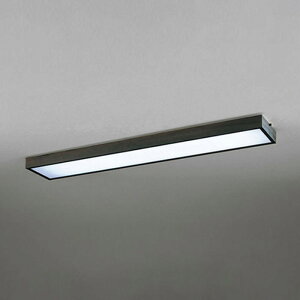 OL291872R2B �I�[�f���b�N �x�[�X���C�g FL40W×2������ �����F