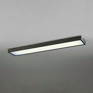 OL291872R2E �I�[�f���b�N �x�[�X���C�g FL40W×2������ �d���F