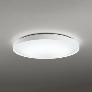 OL291553NGR �I�[�f���b�N �V�[�����O���C�g �����R���t �`8���p �����F ���|�V�[�����O�^�C�v