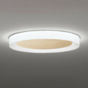 OL291662BR �I�[�f���b�N �V�[�����O���C�g �`12���p �d���F�`�����F Bluetooth�����E���F�\ ���|�V�[�����O�^�C�v