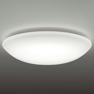 OL251823GR �I�[�f���b�N �V�[�����O���C�g �����R���t �`8���p �d���F�`�����F GAMMA PLUS�����E���F�\ ���|�V�[�����O�^�C�v
