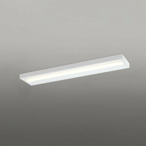XL501057R2E �I�[�f���b�N �x�[�X���C�g 40�` �{�b�N�X�^�C�v FLR40W×2������ �d���F 3000K 4000lm�^�C�v