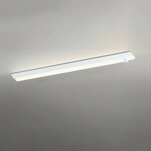 XL501060R1E �I�[�f���b�N �x�[�X���C�g 40�` �l���Z���T�[�t FLR40W���� �d���F 3000K 2000lm�^�C�v �����^�C�v