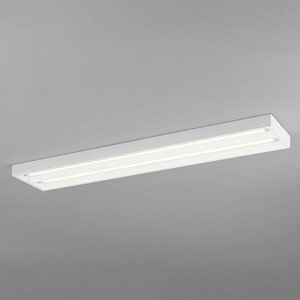 XL551091RD �I�[�f���b�N �x�[�X���C�g 40�` ���ʊJ���^ 2���p FL40W×2������ �����F 3500K 2100lm�^�C�v