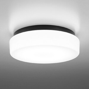 OW269012NR �I�[�f���b�N ������ �����V�[�����O���C�g FCL30W���� �����F �h�J�h���^