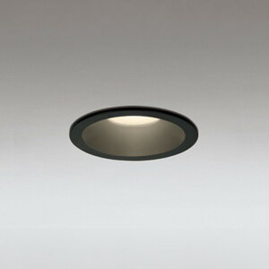 OD361960AR �I�[�f���b�N �_�E�����C�g ���ω΍\���Ή� ��������100 ���M�����60W���� �d���F�`�����F 2700K�`6500K Bluetooth�����E���F�\