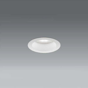ERD2106WA �����Ɩ� �_�E�����C�g �����p ��������100 �����v�ʔ� ����GX53-1a